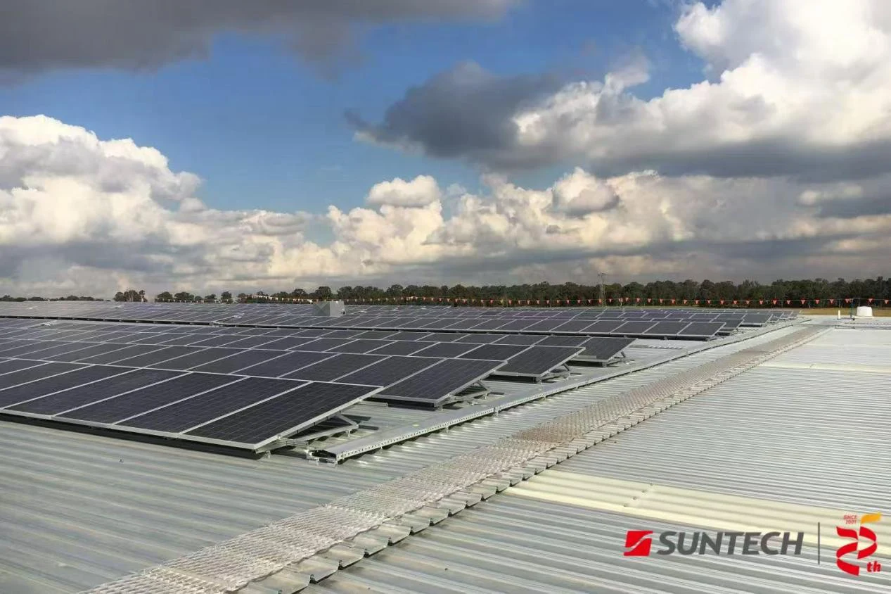 驭光南太平洋 赴新澳绿色之约